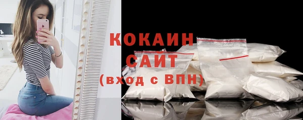 ALPHA PVP Инсар