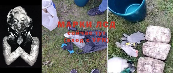 ALPHA PVP Инсар