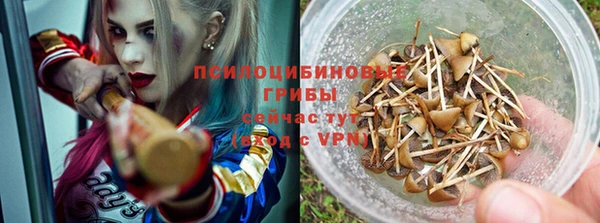 PSILOCYBIN Иннополис