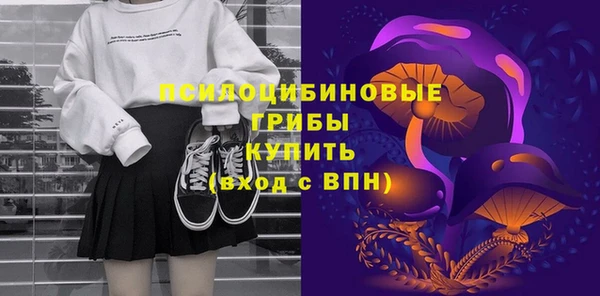 PSILOCYBIN Иннополис